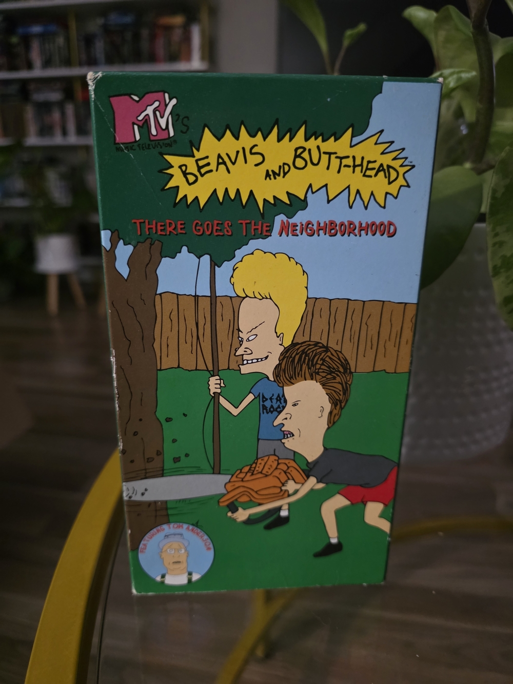 Beavis and Butt-Head There Goes The Neighborhood VHS